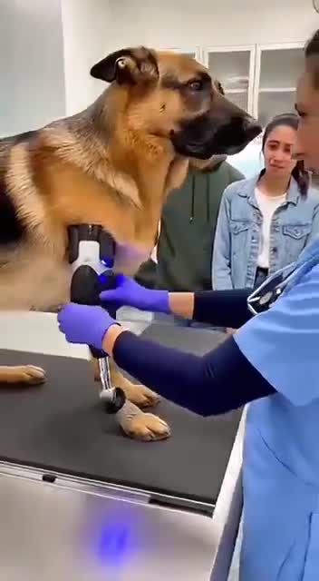 Thanks, hooman!