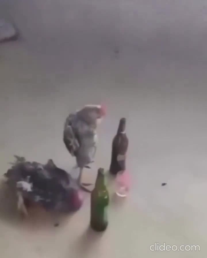 Compliqué le weekend mon GéGé ?