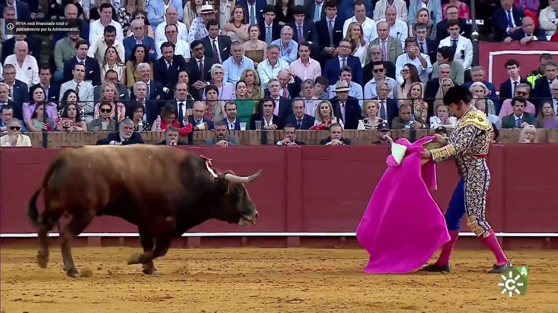 Le torero Morante De La Puebla souffre d'une cornada de 10 cm avec perforation du rectum à Séville. Le pronostic reste grave malgré l'opération d'urgence.