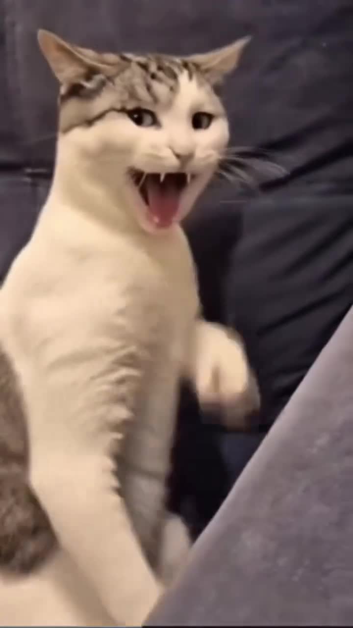 Whaaaaa