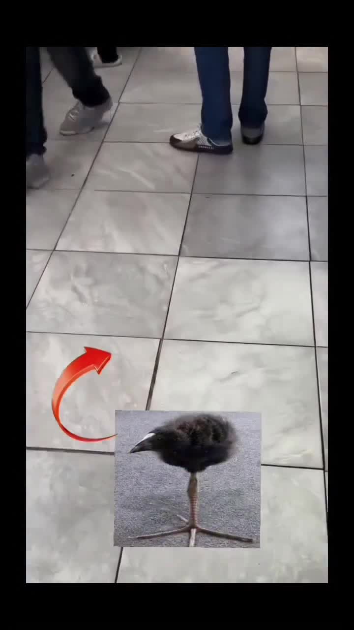 Elle est montée sur chandelle la vieille ou quoi ?