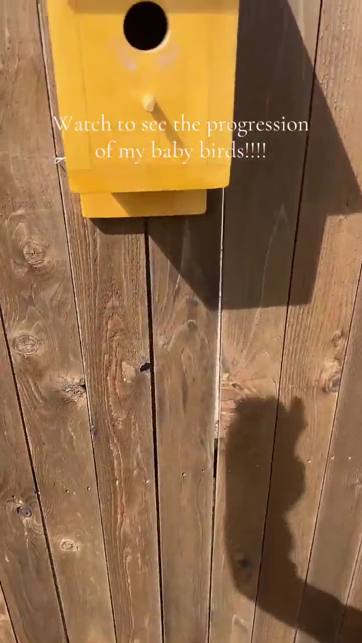 J'ai hésité avec cute
