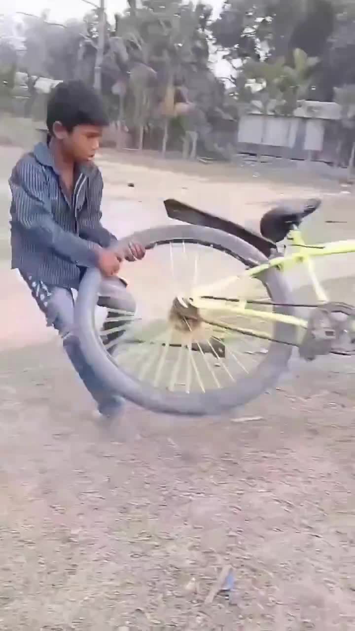 Chamailleries entre frangins.