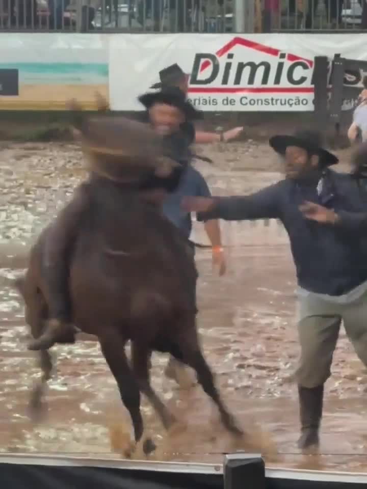 Catch équin