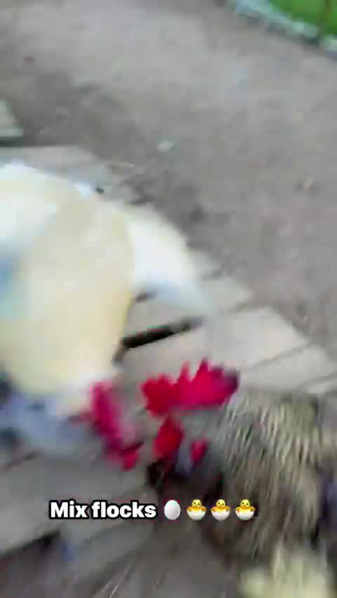 Quand une femme quitte son compagnon parce que celui ci l’a trompée.