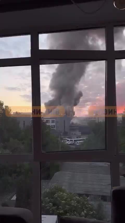 La violence....