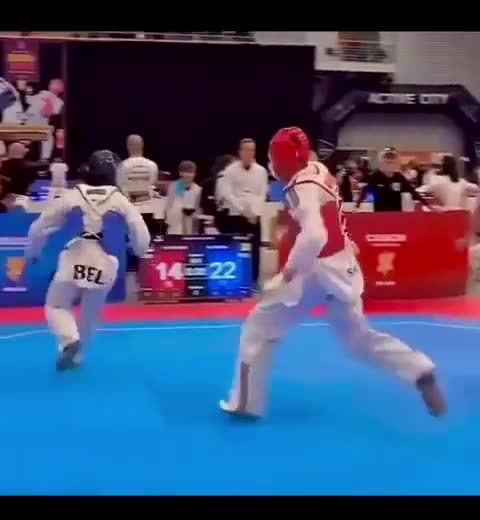 Taekwandodo