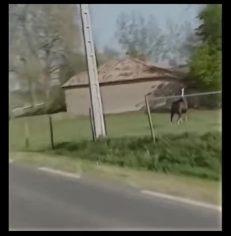 Un peu de poésie