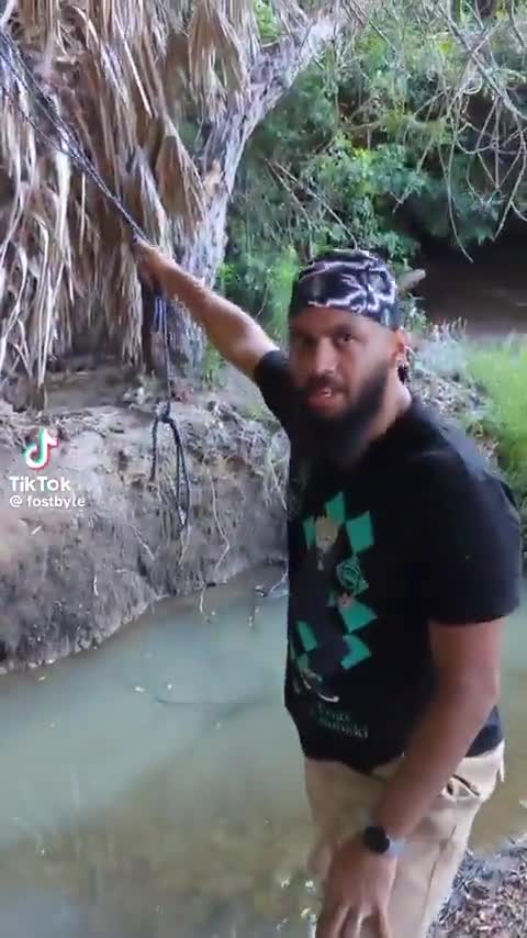 Le choual surmontant les obstacles de la vie (métaphore)