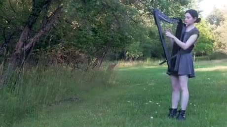 Une biche attirée par le son d'une harpe