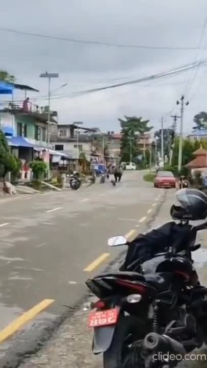 Jumanji IRL
