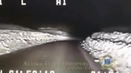 Le berger allemand d'une famille d'Alaska guide les secours vers leur maison en flammes