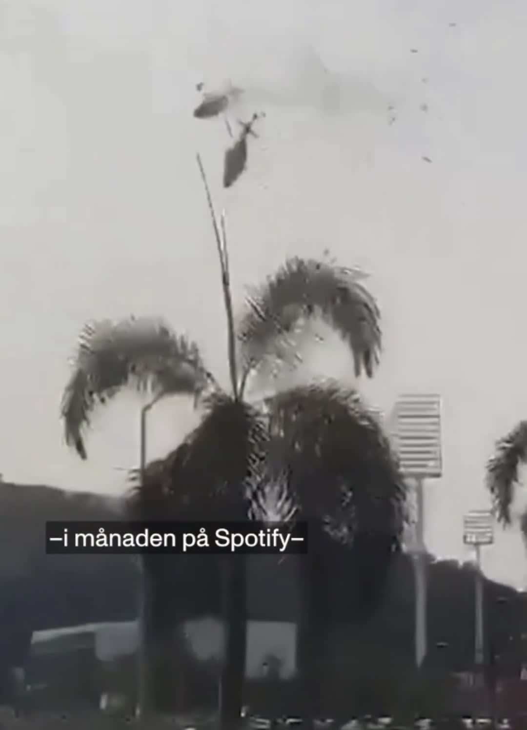 Collision de deux hélicoptères à Rio (Oliver Tree le musicien, en fait partie)