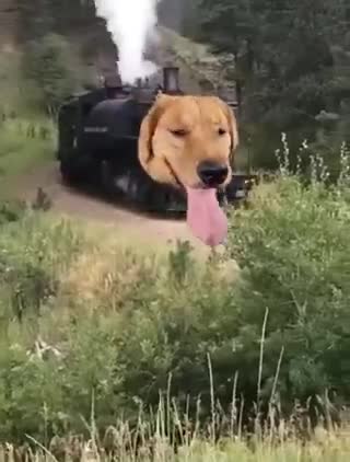Certainement la vidéo que j'ai partagé ici, dont je suis le plus fier !
