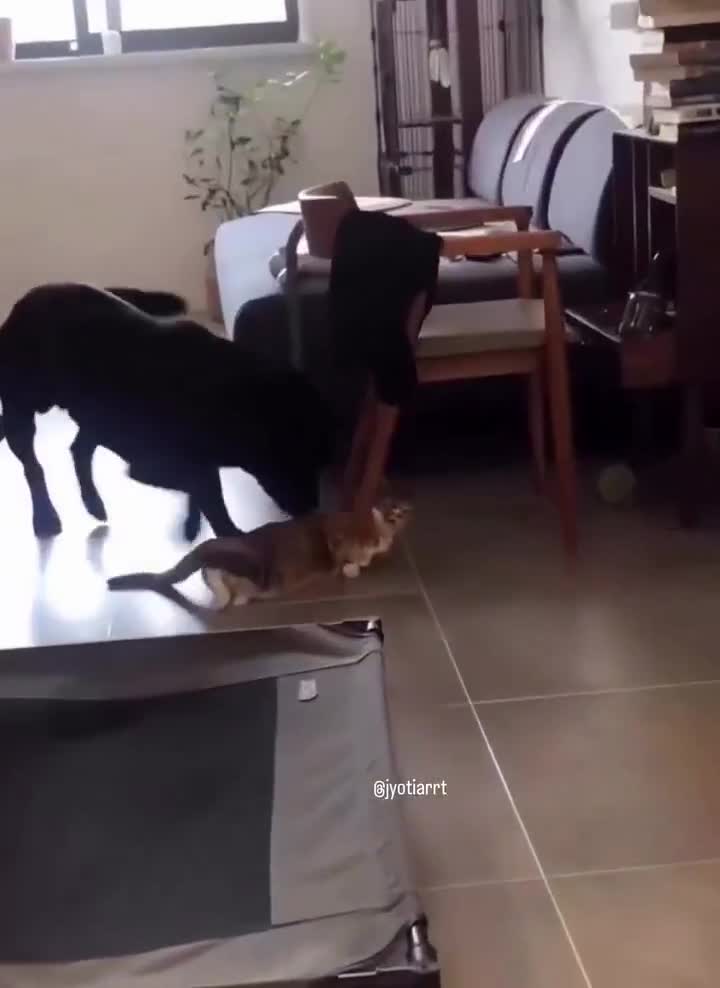 Mamannn... Mamannn...  (connard)