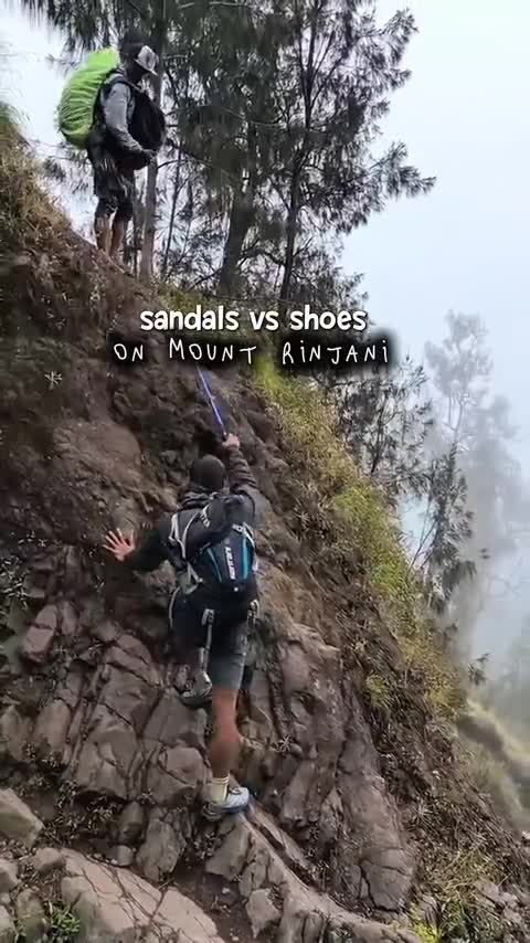 J'ai croisé les mêmes dans les cirques à La Réunion