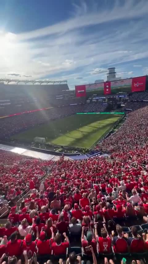 Les supporters norvégiens imitant le mouvement d'un drakkar à la Coupe du Monde