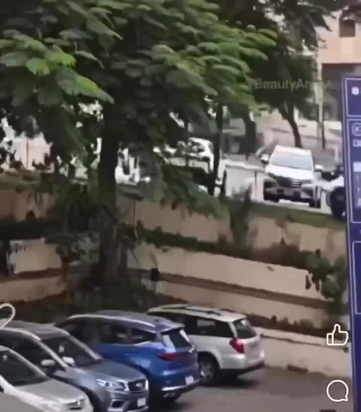 Se garer avec fluidité.