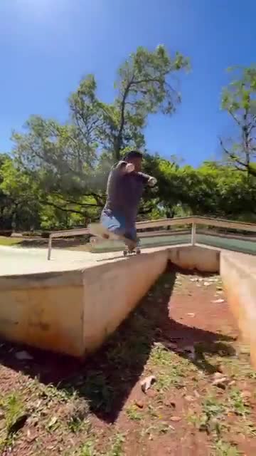 Pas de bras pas de shove-it