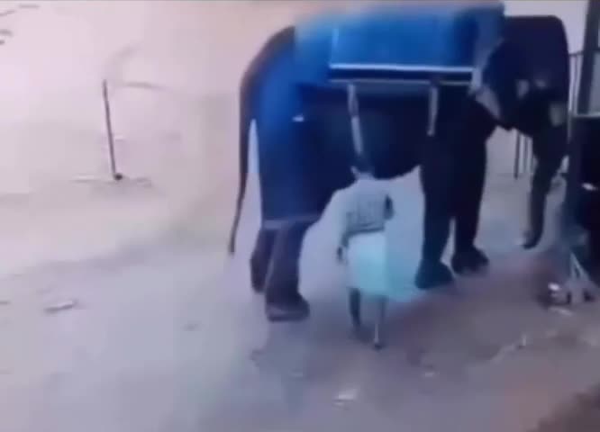 C'est toi qui veux me faire plier petite merde de bipède?