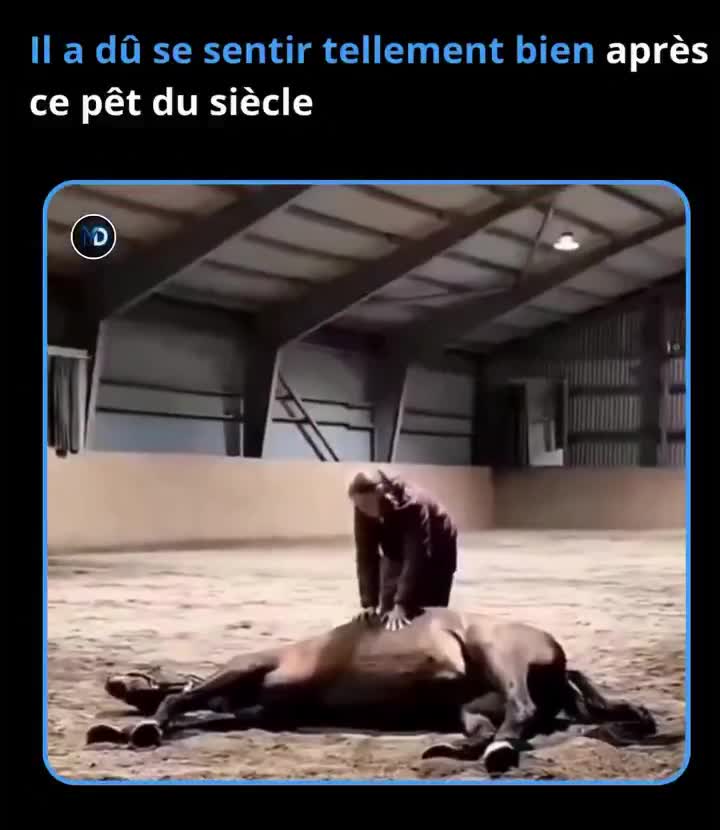 Je ne connaissais que le "remède de cheval"