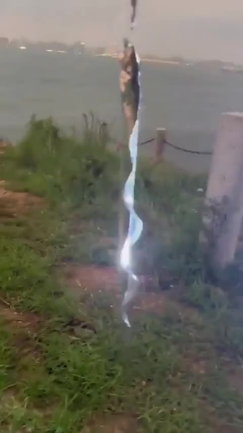 Le poisson sabre en lumière