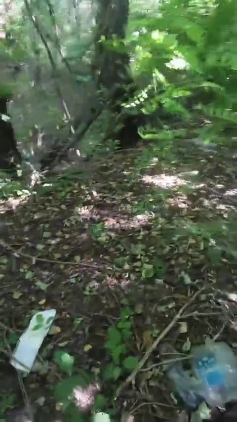 Une promenade normale en forêt en Russie