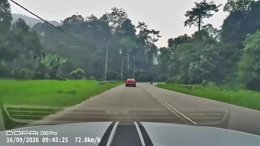 I believe i can fly !