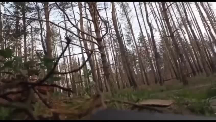 Quand j'étais jeune je voyais des choses comme ça dans des films comme Terminator