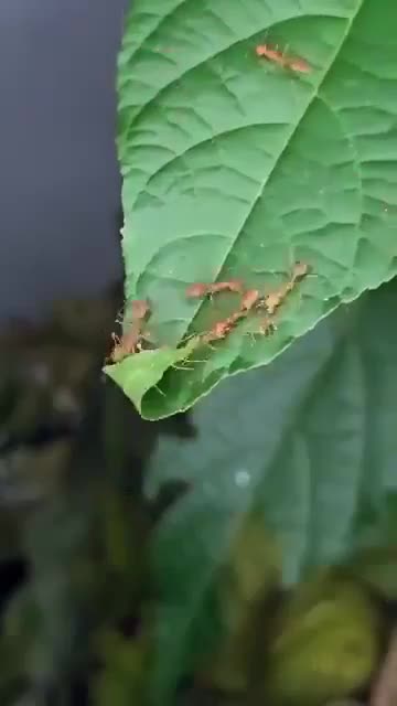 La nature est une source d'émerveillement perpétuel