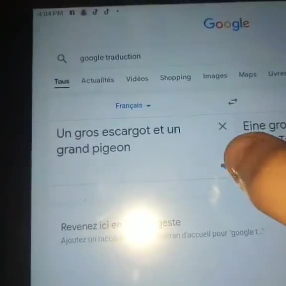 Et un jour, le choual découvrit le traducteur en ligne