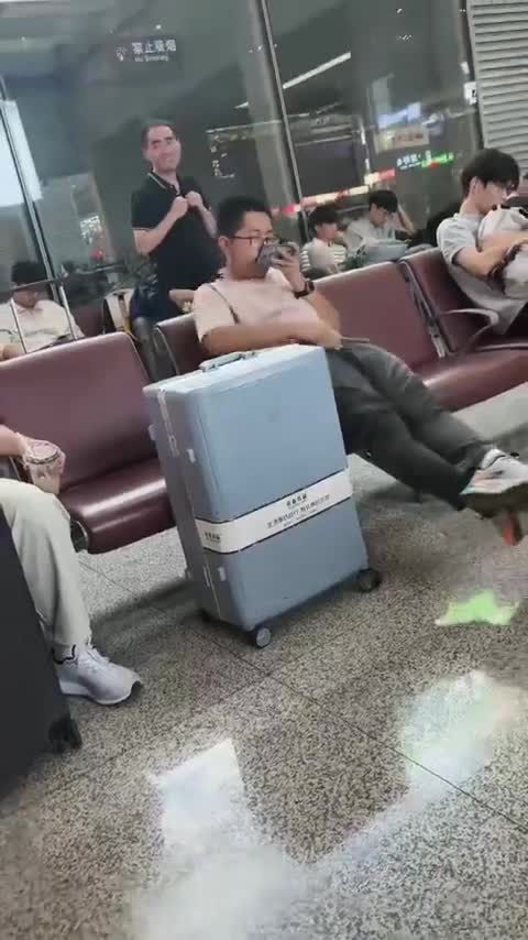 Toujours vérifier le manche avant de prendre l'avion (sans doute un choual)