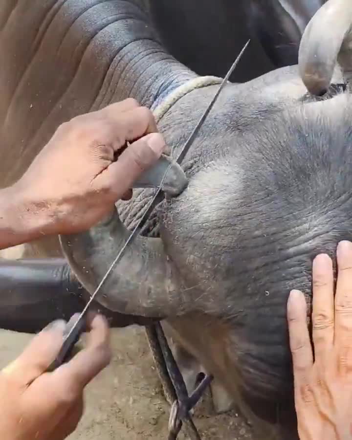 Un petit peu d'humanité en cette fin de week-end.
