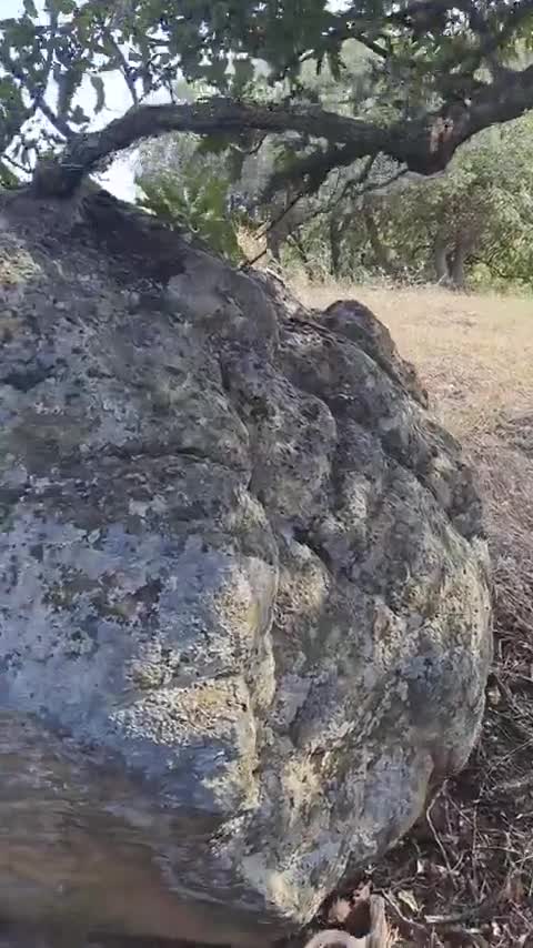 Rock paper scissors