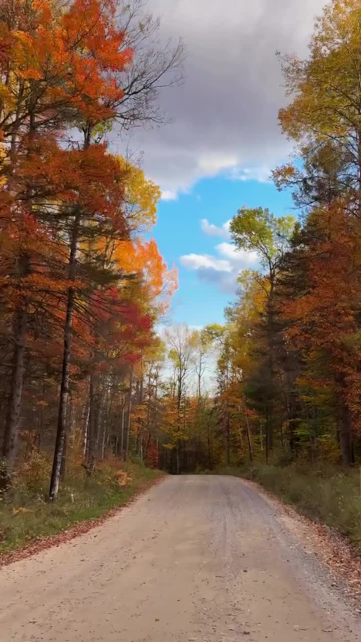 Les tons d'automne.