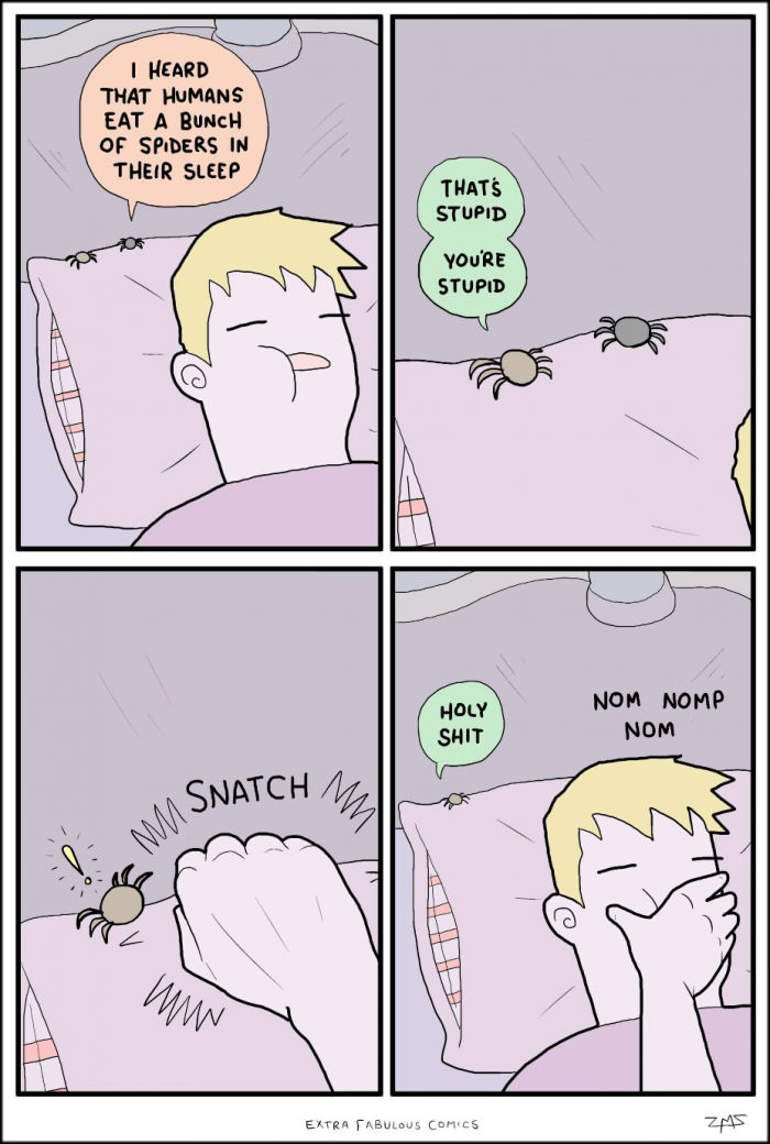 Les humains mangent pleins d'araignées quand ils dorment