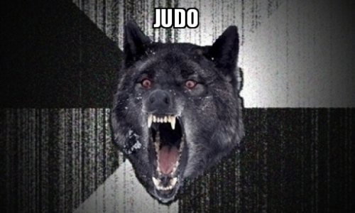 Le judo, c'est dangereux