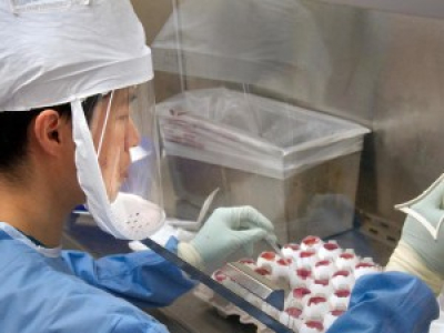 Feu vert pour la création de virus mortels en laboratoire