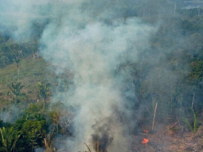 Amazonie : quatre banques françaises poursuivies en justice pour leur soutien à la déforestation illégale