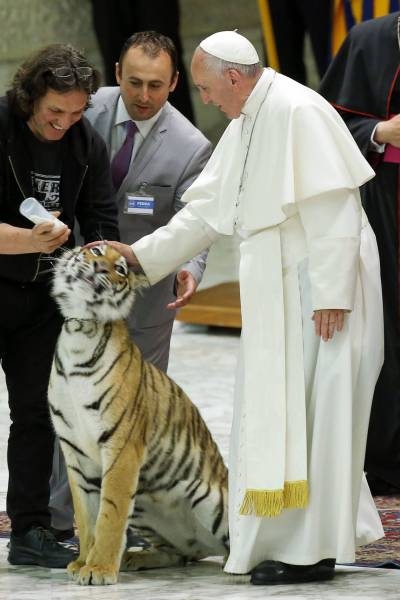 Le pape à faune