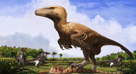 Paleoart: Dakotaraptor