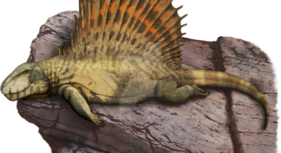 Paleoart: Dimetrodon