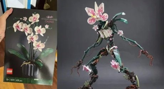 Quand on t'offre une Orchidée, alors que tu voulais un Bionicle.