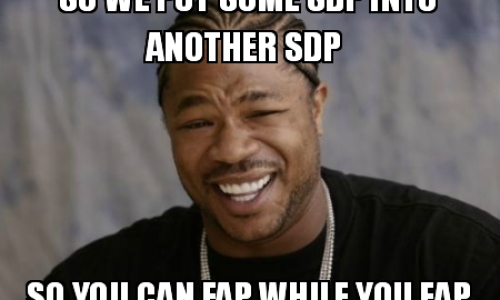 Yo choual, we heard you like SDP...
