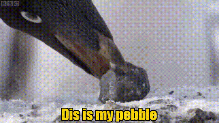 Dis is my pebble !