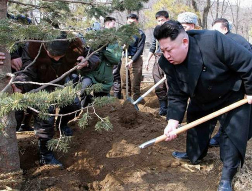 Kim prépare la tombe de Donald Trump #TeamKim