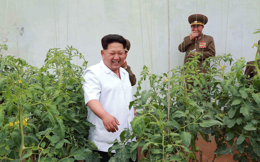 Kim a le soutien du g/weed ! #TeamKim 