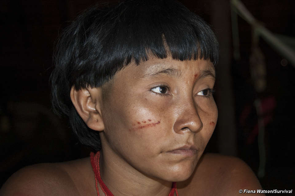 Intoxication au mercure en Amazonie : de nouvelles statistiques très alarmantes