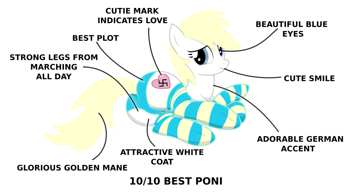 10/10 best poni