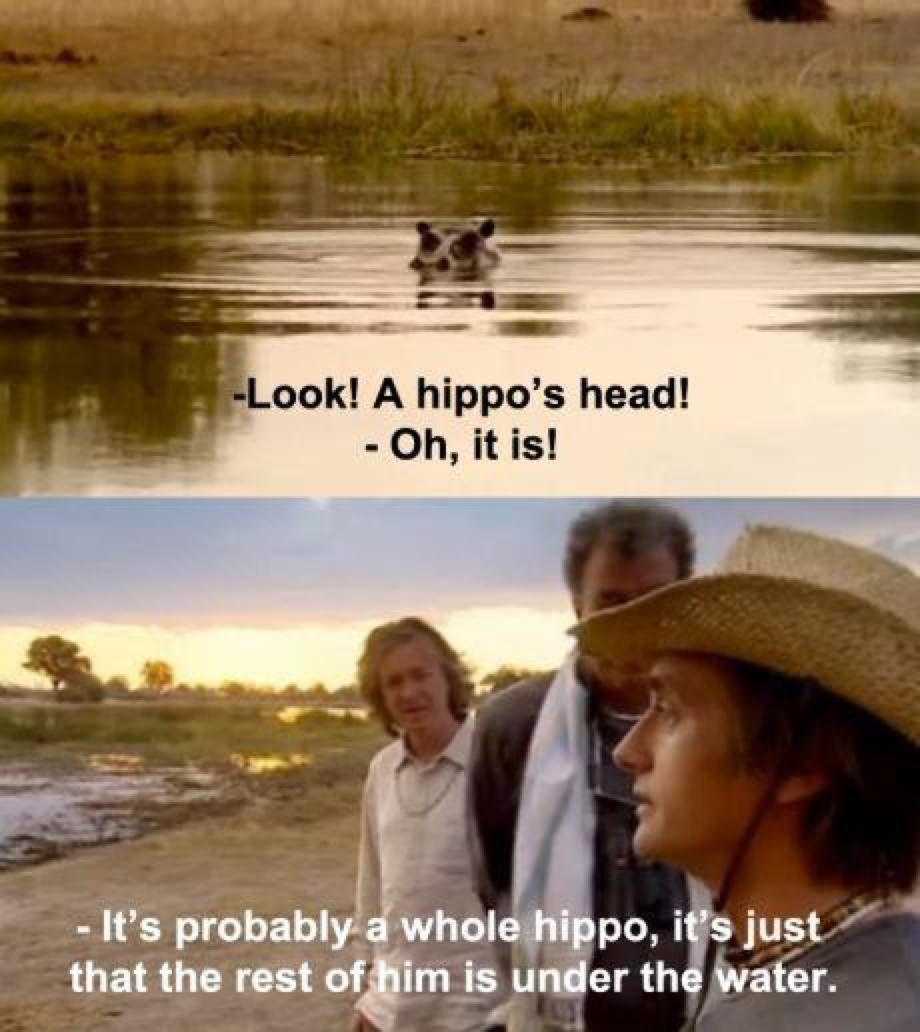 Look... A hippo !